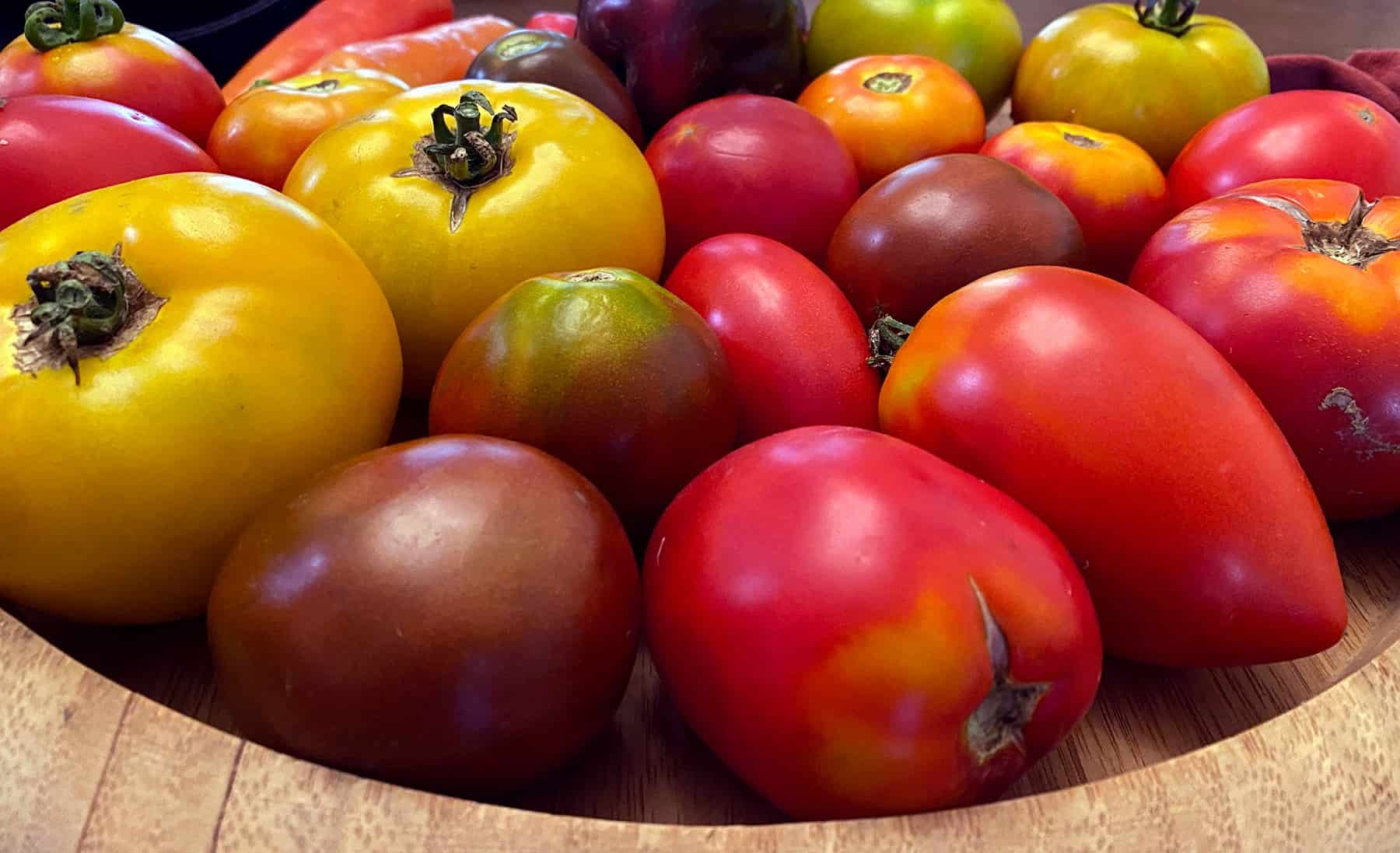 10 Ideas for Rising Tomatoes * Giant Weblog of Gardening