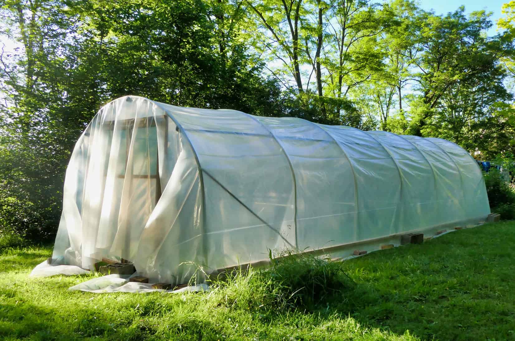 Polytunnel Rising For Newcomers * Giant Weblog of Gardening